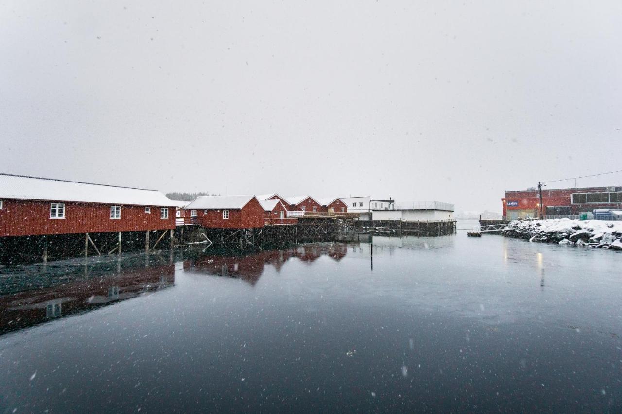 Lofoten Cabin&Kayak Rental Stamsund Dış mekan fotoğraf