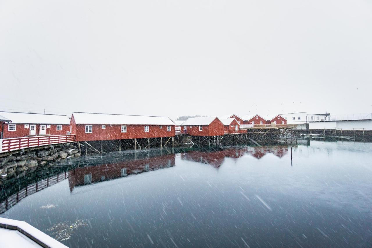 Lofoten Cabin&Kayak Rental Stamsund Dış mekan fotoğraf