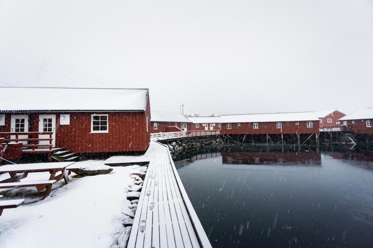 Lofoten Cabin&Kayak Rental Stamsund Dış mekan fotoğraf