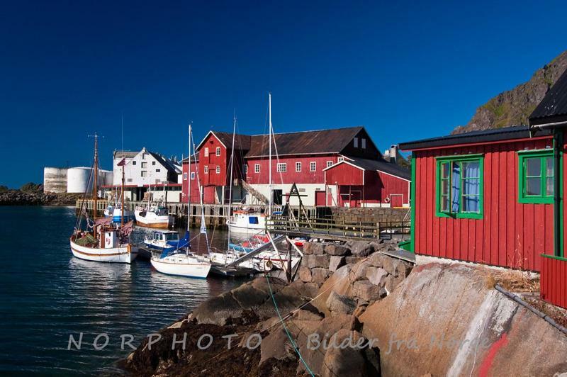 Lofoten Cabin&Kayak Rental Stamsund Dış mekan fotoğraf