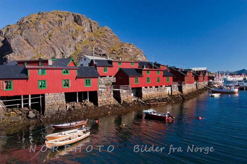 Lofoten Cabin&Kayak Rental Stamsund Dış mekan fotoğraf