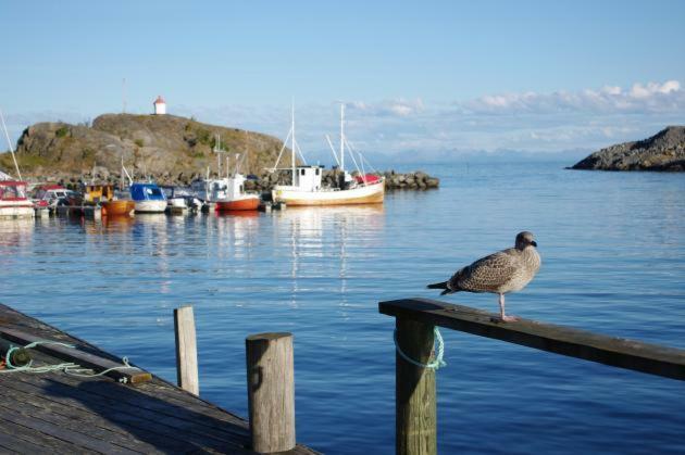 Lofoten Cabin&Kayak Rental Stamsund Dış mekan fotoğraf